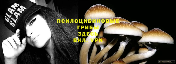 mdpv Нефтекумск