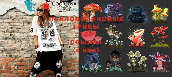 гидра Нефтегорск
