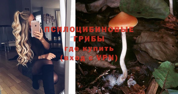 mdpv Нефтекумск