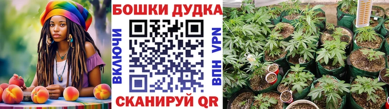 Бошки марихуана SATIVA & INDICA  Ладушкин 
